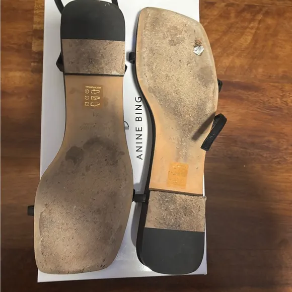 Anine Bing Invisible Flat Sandals
