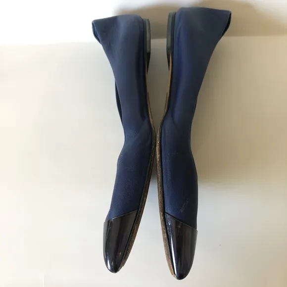CHRISTIAN DIOR Blue &amp; Metallic Blue Pointed Toe Flats