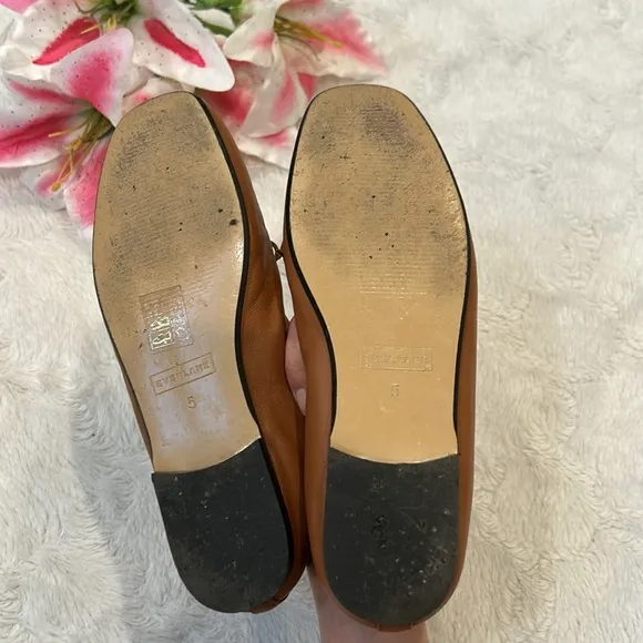 Everlane Italian Leather - Brown Bow Ballet Flats