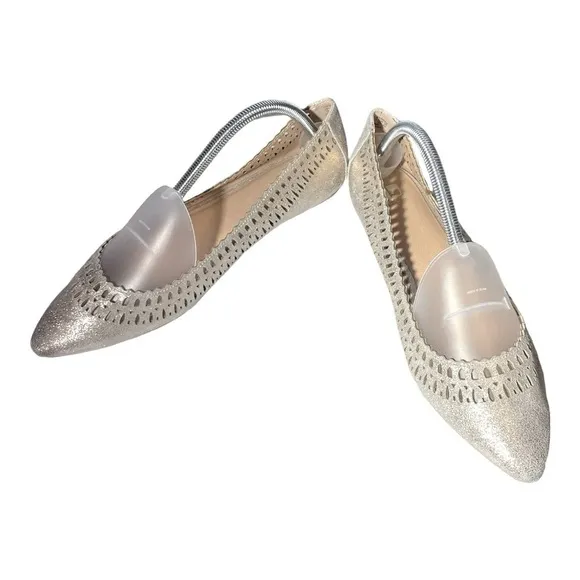 Joes Cutout Silver/gold Flat size 10 NWT
