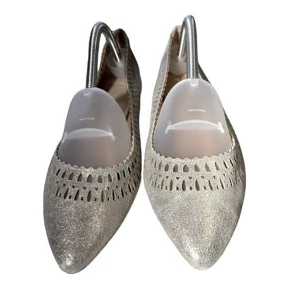 Joes Cutout Silver/gold Flat size 10 NWT