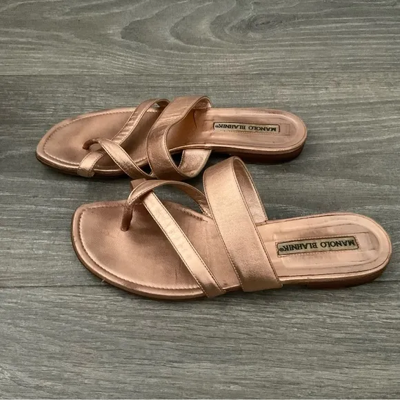 Manolo Blahnik Susa Metallic Crisscross Flat Sandals