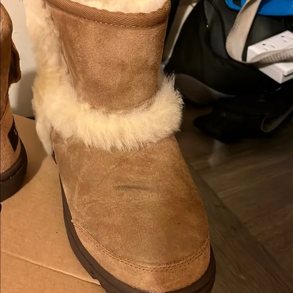 UGG Classic Tan Shoe Box